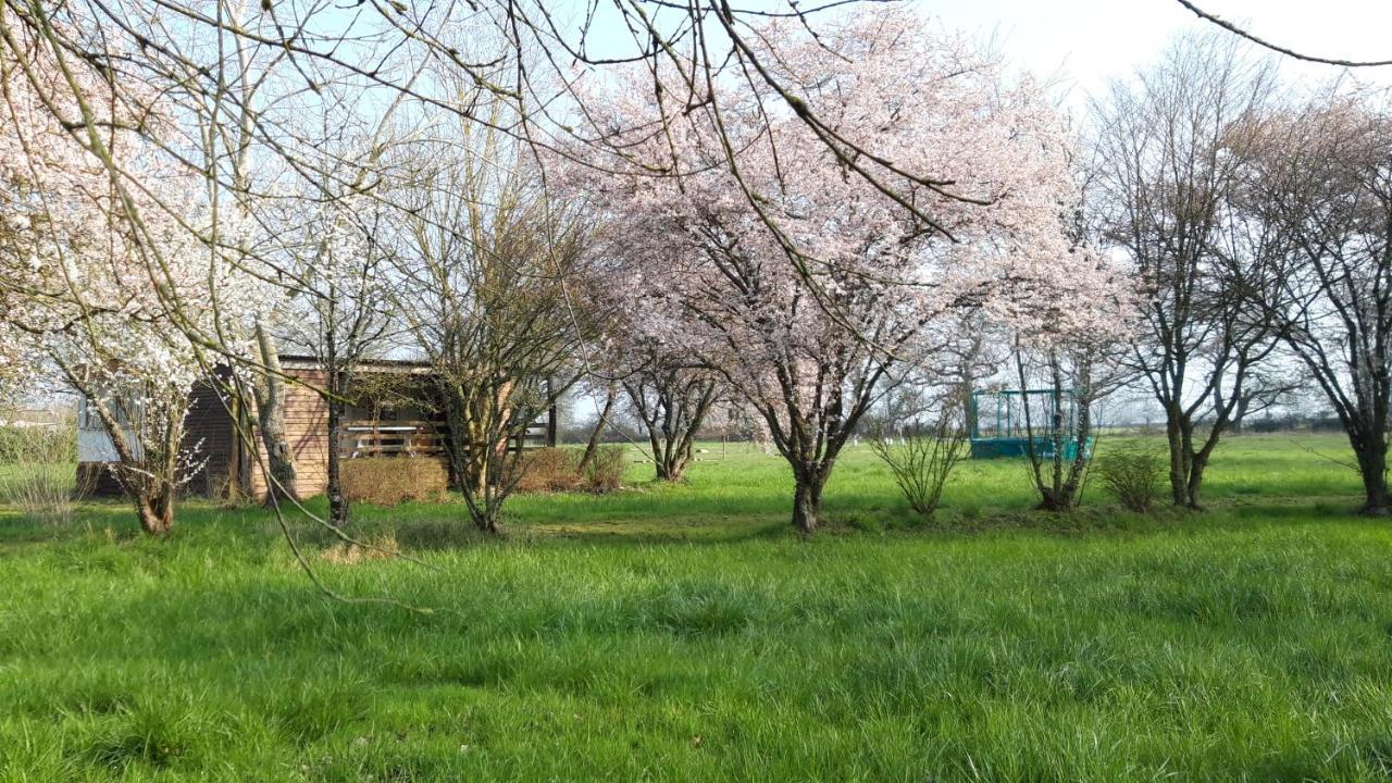 Hotel Le Domaine De La Barre Saint Michel Gourgé Zewnętrze zdjęcie